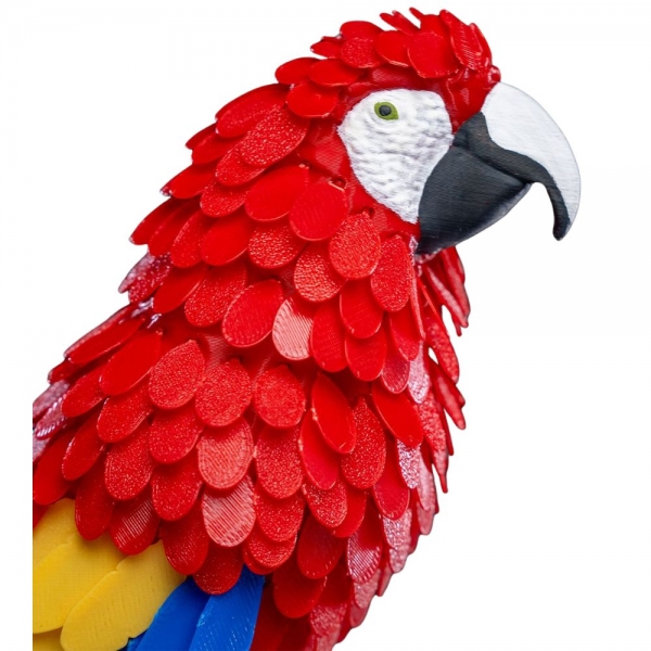 Arara Canindé Puzzle - quebra-cabeca-de-penas-de-arara-arara-caninde