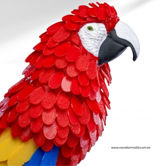 Arara Canindé Puzzle 3D