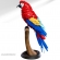 Arara Canindé Puzzle 3D