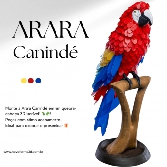 Arara Canindé Puzzle 3D