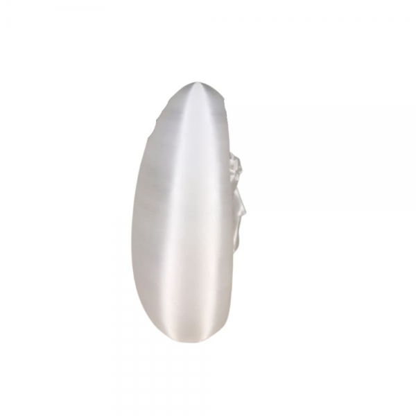 Sagrada Face de Jesus