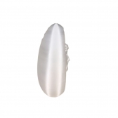 Sagrada Face de Jesus