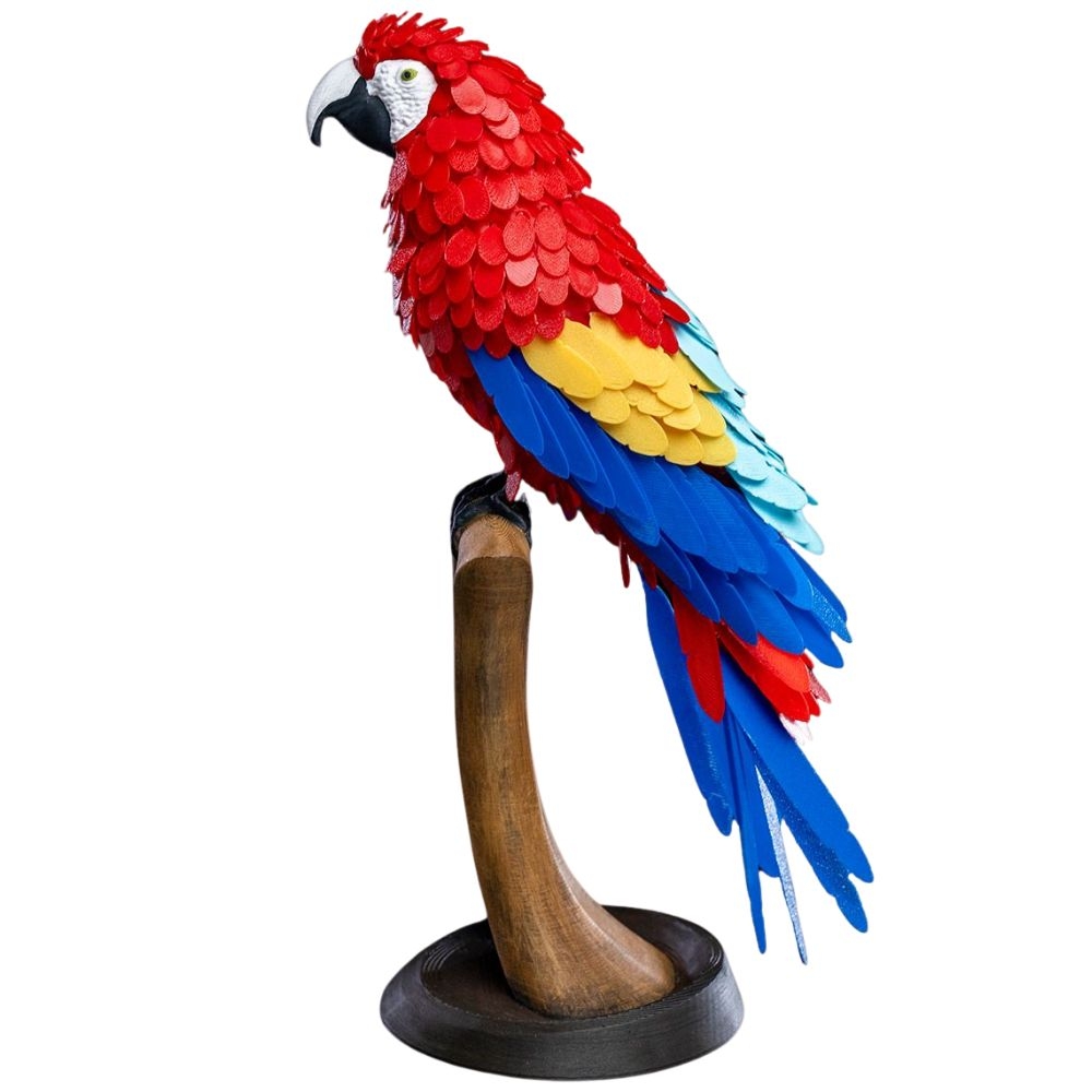 Arara Canindé Puzzle - quebra-cabeca-de-penas-de-arara-arara-caninde