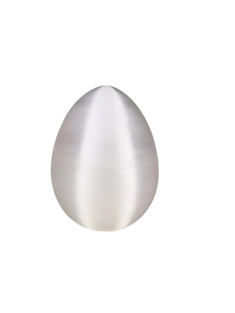 Design sem nome (38).webp