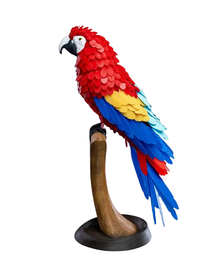 Design sem nome (71).webp