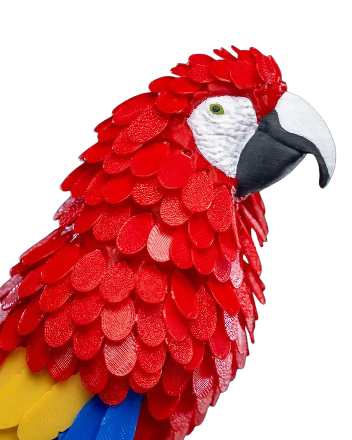 Design sem nome (73).webp